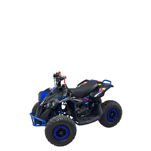 Mini ATV 11