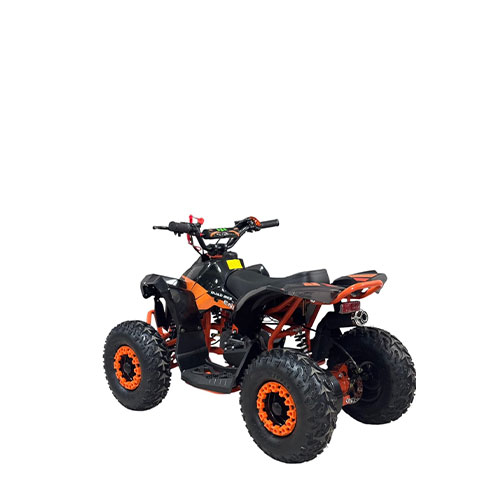 Mini ATV 8